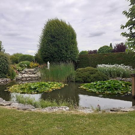 Le Plan D'Eau Civray-de-Touraine Exterior foto